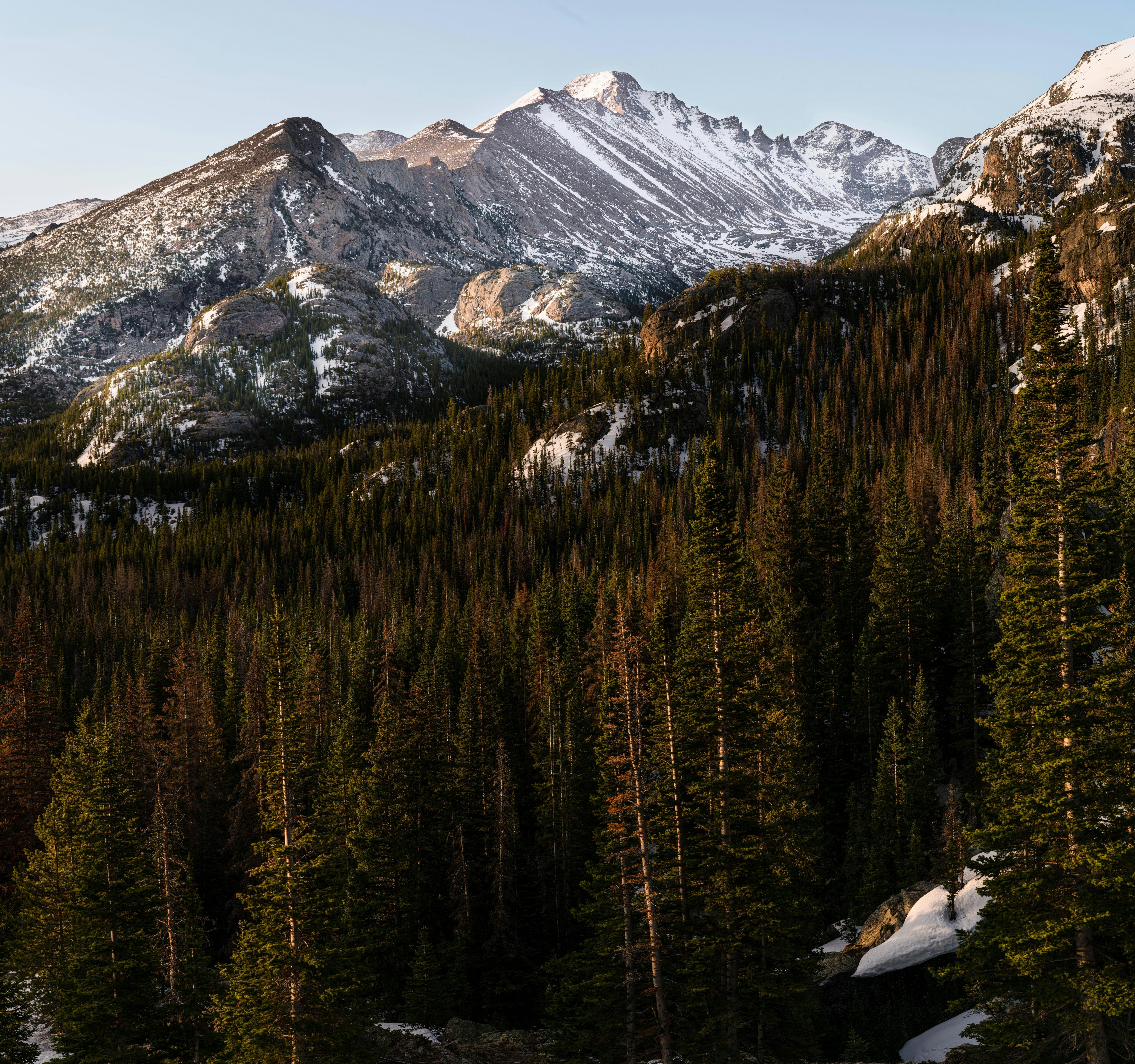 green pine trees near snow covered mountain during daytime